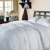 Best reviews of ???? Blue Ridge Home Fashions Blue Ridge 350 Thread Count Damask Stripe Cover, Down Comforter ????